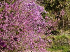 -天台山赤城山景区