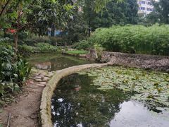 -成都市活水公园