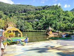 -西双版纳原始森林公园