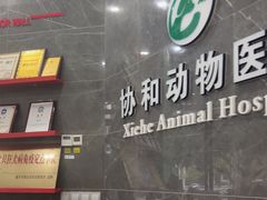 -瑞鹏瑞爱宠物医院·全科·猫科·血液透析中心(龙头寺店)