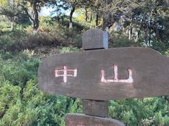 -莫子山公园