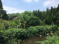 -白马涧龙池景区