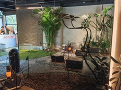 -J Create城市露营咖啡·简餐·宠物(上海动物园店)