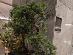 -大渔铁板烧(花园道店)