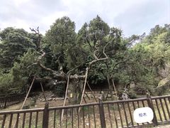 -草庵摩尼教遗址公园