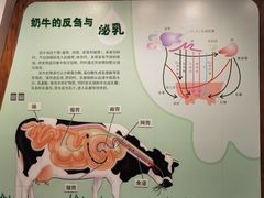 -君乐宝优致牧场
