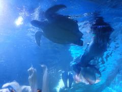-左海海底世界