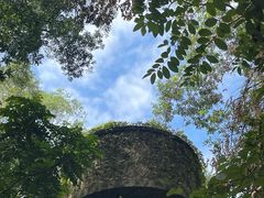 -南岗山公园