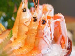 -Mr.Fish鱼鲜生海鲜放题(高德置地冬广场店)