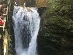 -牛背梁国家森林公园