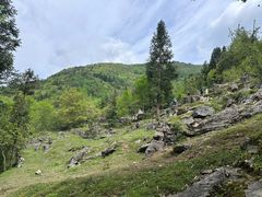 -鹿院坪生态旅游景区