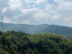 -大围山国家森林公园