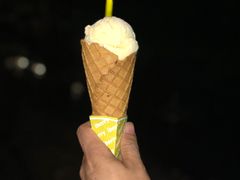 -莓园冰淇淋店