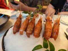 -桂满陇·海市蜃楼·黑金(国金店)