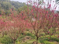 -白水带风景区体育公园