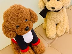 -PureSmile普诗美尔口腔(闵行华漕店)