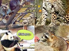 -宁波野生动物园