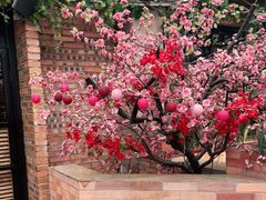 -湘邻呷铺·田园家宴(汉基广场店)