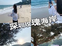 -玫瑰海岸文化旅游度假区