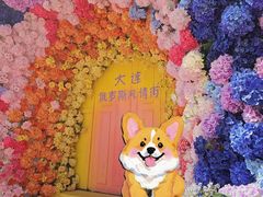 -俄罗斯风情街