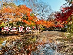 -秋霞圃