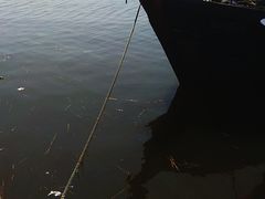 -红星码头