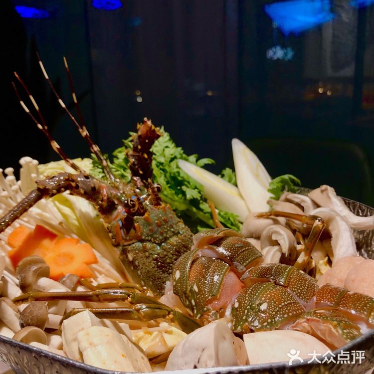 阿雨的梦想就是吃遍中国🍗🥘🍛
