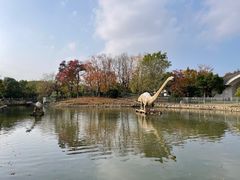 -上海海湾国家森林公园