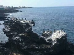 -龙头岩(Dragon Head Rock)