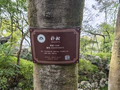 -绮园景区