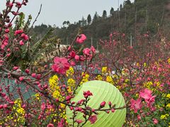 -桃源山庄·水蜜桃采摘·柴火鸡·烧烤团建(龙泉山店)
