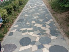 -郑州西亚斯学院-体育学院