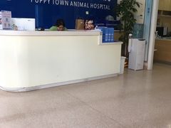 -芭比堂动物医院·24小时·眼科中心(深圳中心)