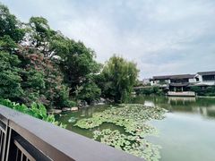 -九洲喜来登酒店湖月日餐厅