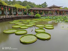 -广州莲花山旅游区