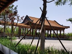 -张家湾公园