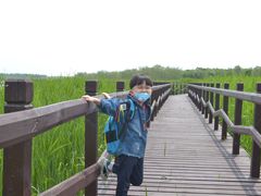 -西青郊野公园