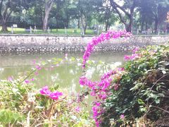 -晓港公园