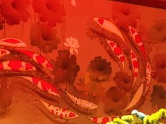 -大碗居·烤鸭·鱼头泡饼(天坛东门店)