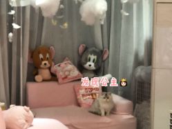 -Beauty Nails 美甲美睫皮肤管理
