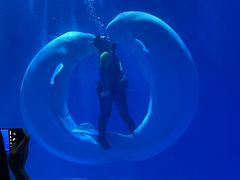 -多彩贵州城极地海洋世界