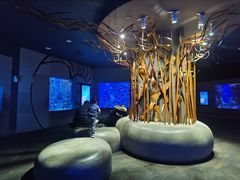 -成都浩海立方海洋公园