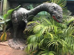 -呀路古热带植物园-恐龙馆