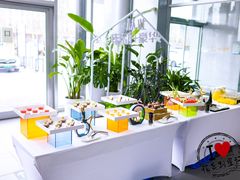 -奔驰利星行(北京花乡店)