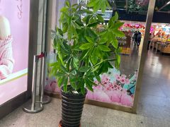 -长乐宫(长安金座店)