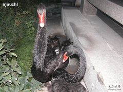 -曲江惠宾苑宾馆(大雁塔大唐不夜城店)