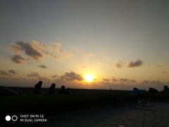 -南汇嘴观海公园