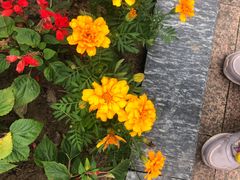 -蠡湖大桥公园