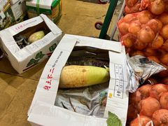 -西归浦每天偶来市场