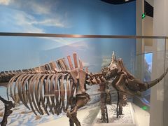 -国家自然博物馆